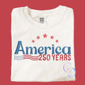 Vintage 250 Years of America Tee